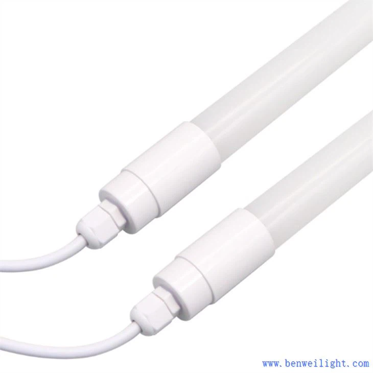 Vištienos LED lemputė