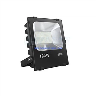Motion Activated Flood Light