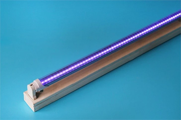 uv light for mosquito