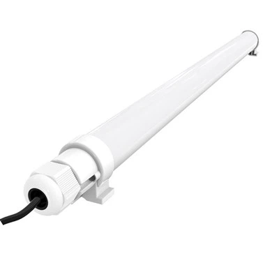 T12 LED lemputė grybams