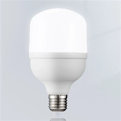 DC48V E27 paukštienos LED lemputės