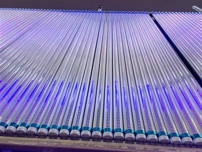LED vamzdis UV-365 nm