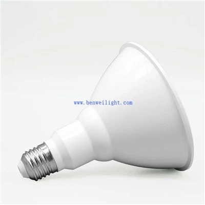 PAR38 Outdoor Flood LED lemputė