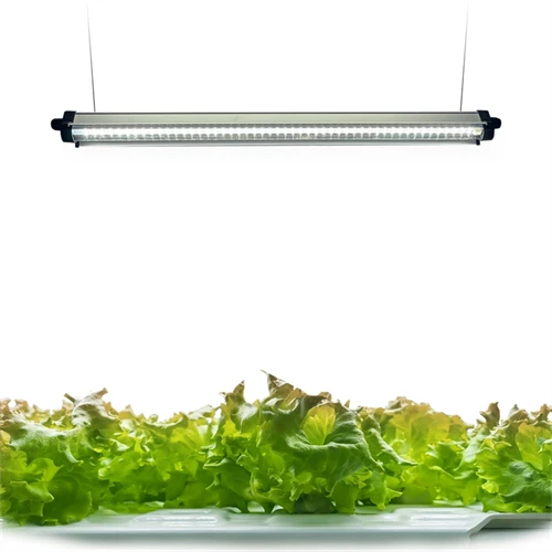 240 LED viso spektro augalų augimo šviesos juostos su automatiniu įjungimo/išjungimo laikmačiu 3/9/12 val.