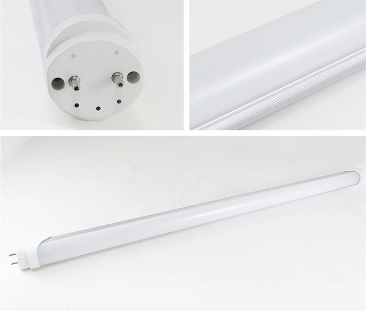 5700k6500k Club T8 LED Tube LED