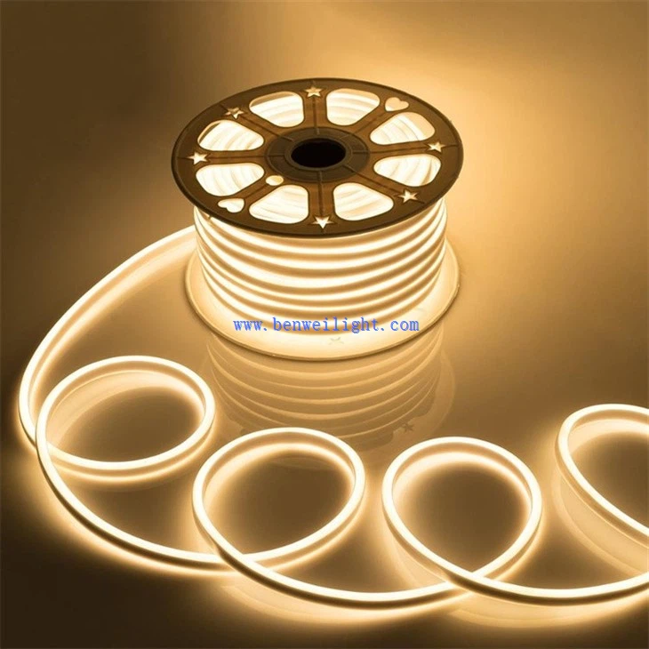 Flexible Tape Light (1)