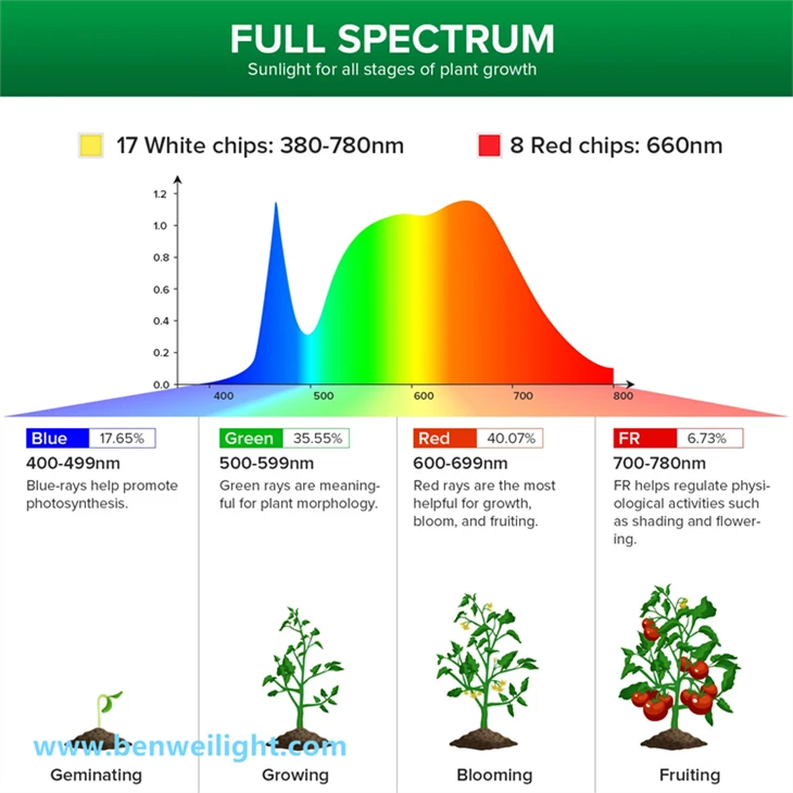 LED Full Spectrum Grow Light String For Indoor/Outdoor Plants high quality