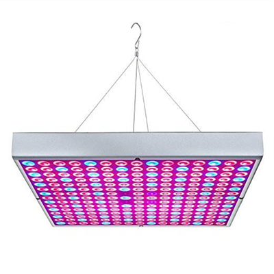 LED Grow Light - viso spektro kvadratinių plokščių serija