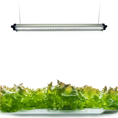 Viso spektro LED lemputės augalams auginti patalpose